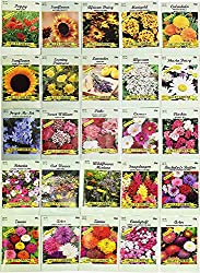 25 flower seed packets