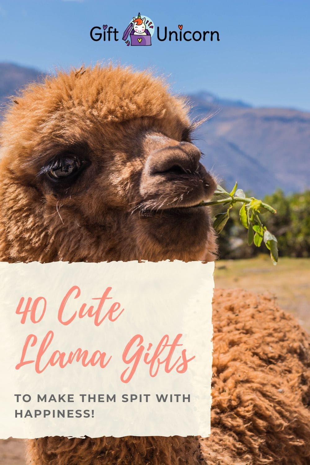 40 cute llama gifts pin image