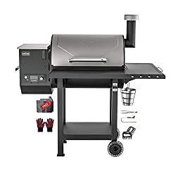 BBQ grill and smoker