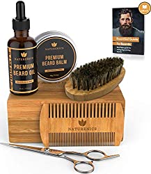 beard grooming kit for men