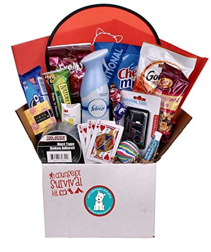 beyond bookmarks camp counselor survival kit