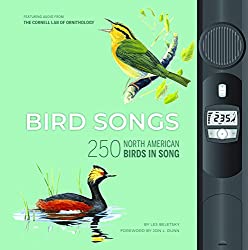 bird in songs