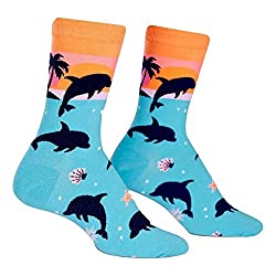 dolphins socks