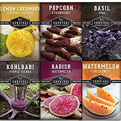 exotic vegetables seed collection