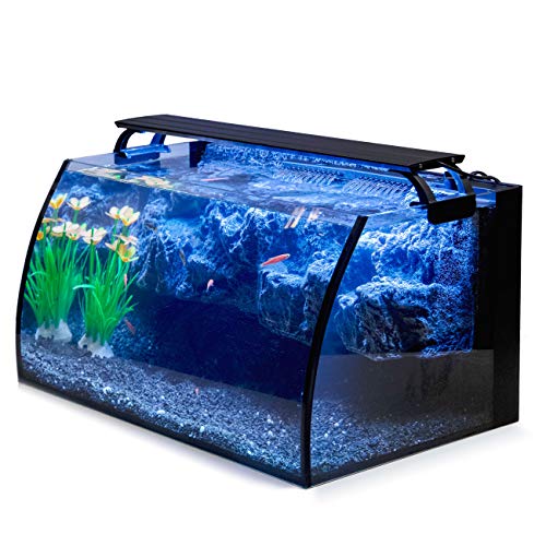 glass aquarium kit