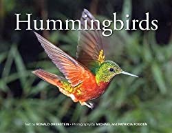 hummingbird book