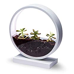 indoor LED planter
