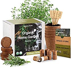 indoor herb garden starter kit