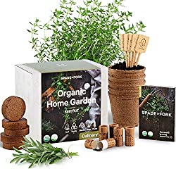 indoor herb starter kit