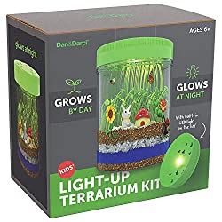 light-up terrarium kit