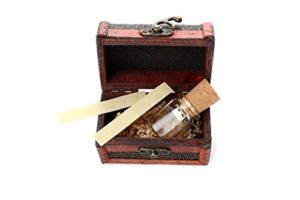 message in a bottle USB 2 flash