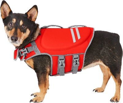 neoprene dog life jacket