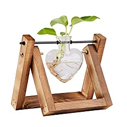plant terrarium with stand