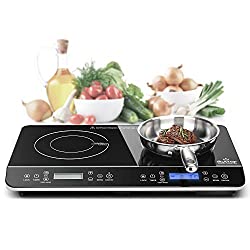 portable double induction cooktop