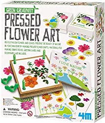 pressed flower art kit
