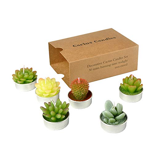 succulent cactus candles