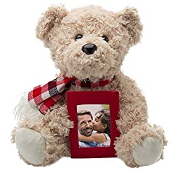 Teddy bear with frame