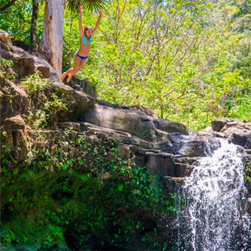 waterfall and rainforest hike