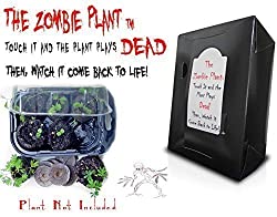 zombie plant grow kit